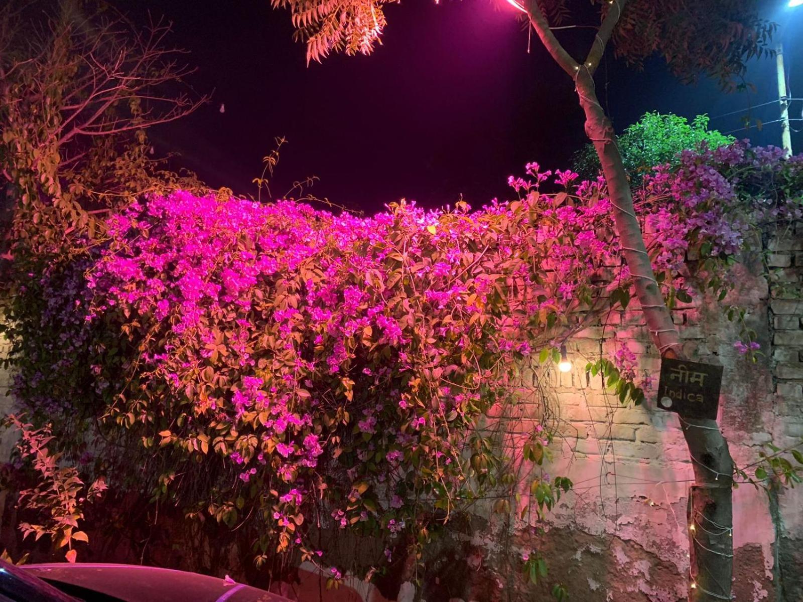 Nature Resort Agra  Exterior photo